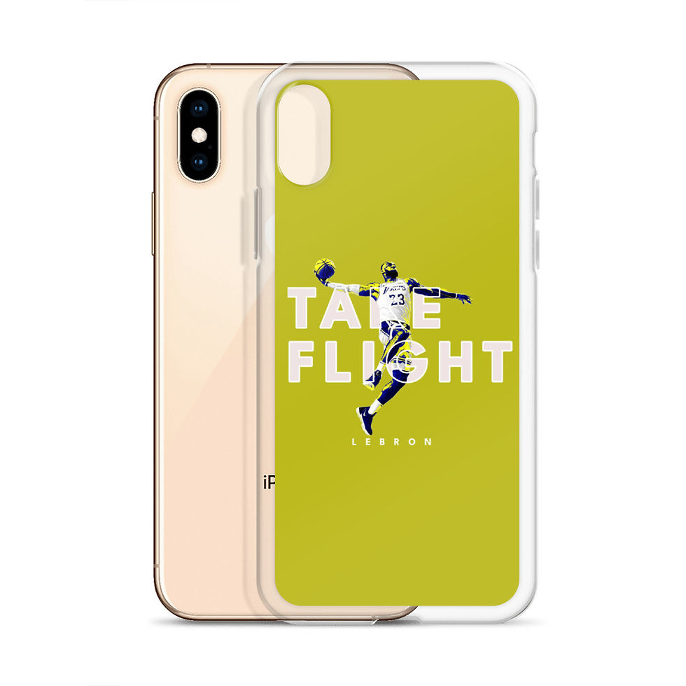 Miniatura: Take Flight: Lebron