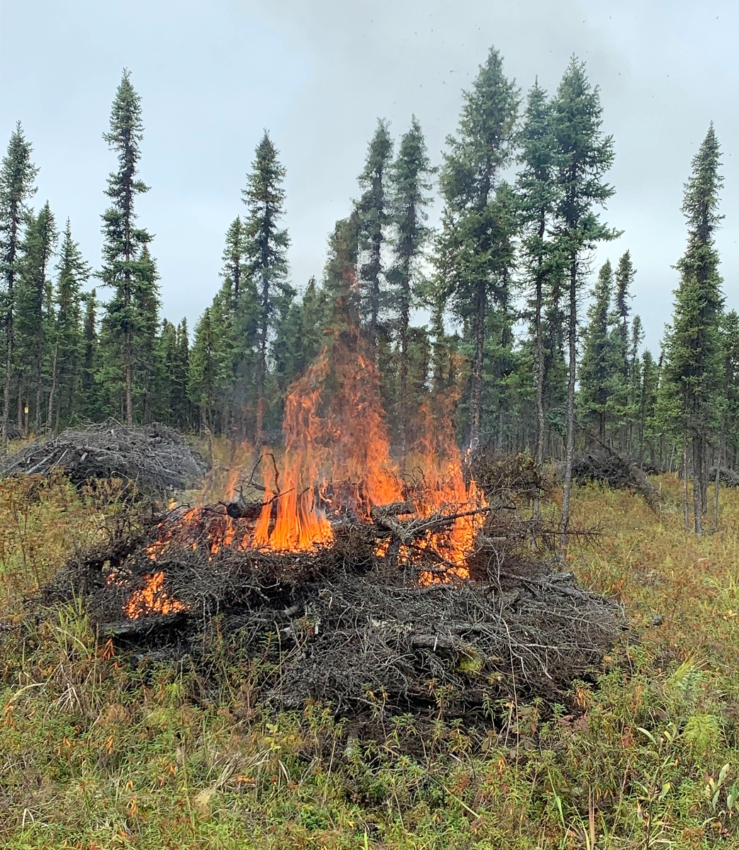 Starker Forest Burn Notification