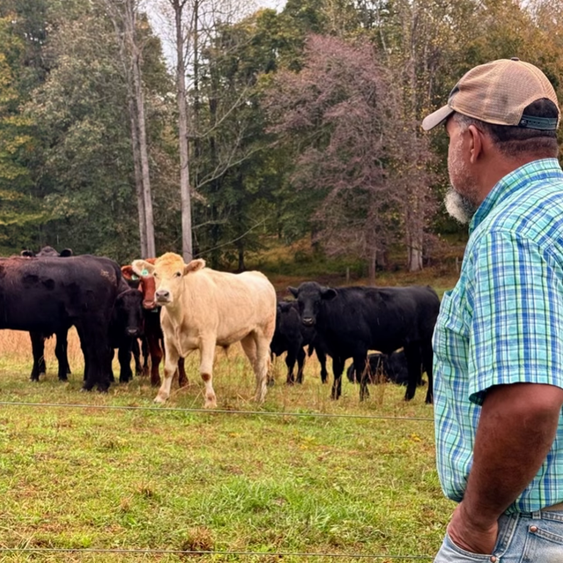 MVFP Featured in Charlottesville Tomorrow & IMHO Talk Show Story on Virginia's Historic Drought