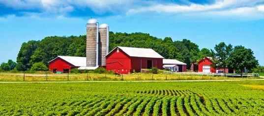 farm-image2-640w.webp