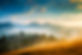 AdobeStock_71393166.jpeg