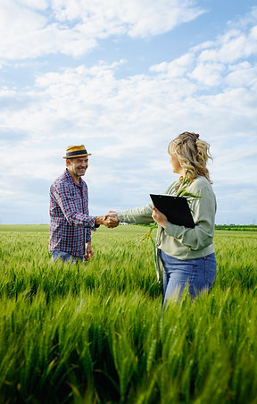 iStock-2232680433-web.jpg