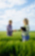 iStock-2232680433-web.jpg