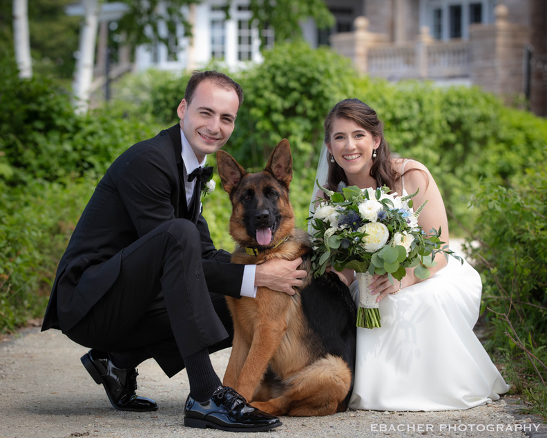 GSD Meerkuste Breeder Maine