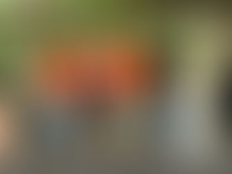 EQUIPE DO COLÉGIO COTIP É VENCEDORA NA CATEGORIA GERAL DA 3ª COMPETIÇÃO GRAVITY CAR DA EEP