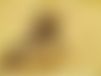 Paracha Pin’has : de Pin’has au Machia’h, ou le chemin vers la paix parfaite