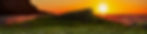copymeadow-4920663.jpg
