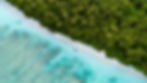 freepik__upload__592.jpeg