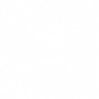 LCN QR blanco linktree.png