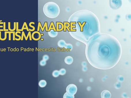 celulas madres