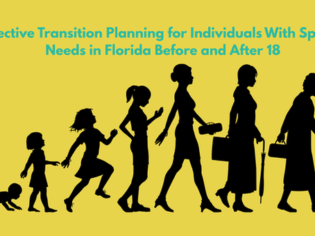Effective Transition Planning for Individuals With Special Needs in Florida Before and After 18
