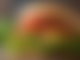 Creative Chicken Sandwich Ideas: Innovative Chicken Sandwich Recipes to Try Today