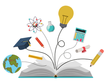 Curriculum