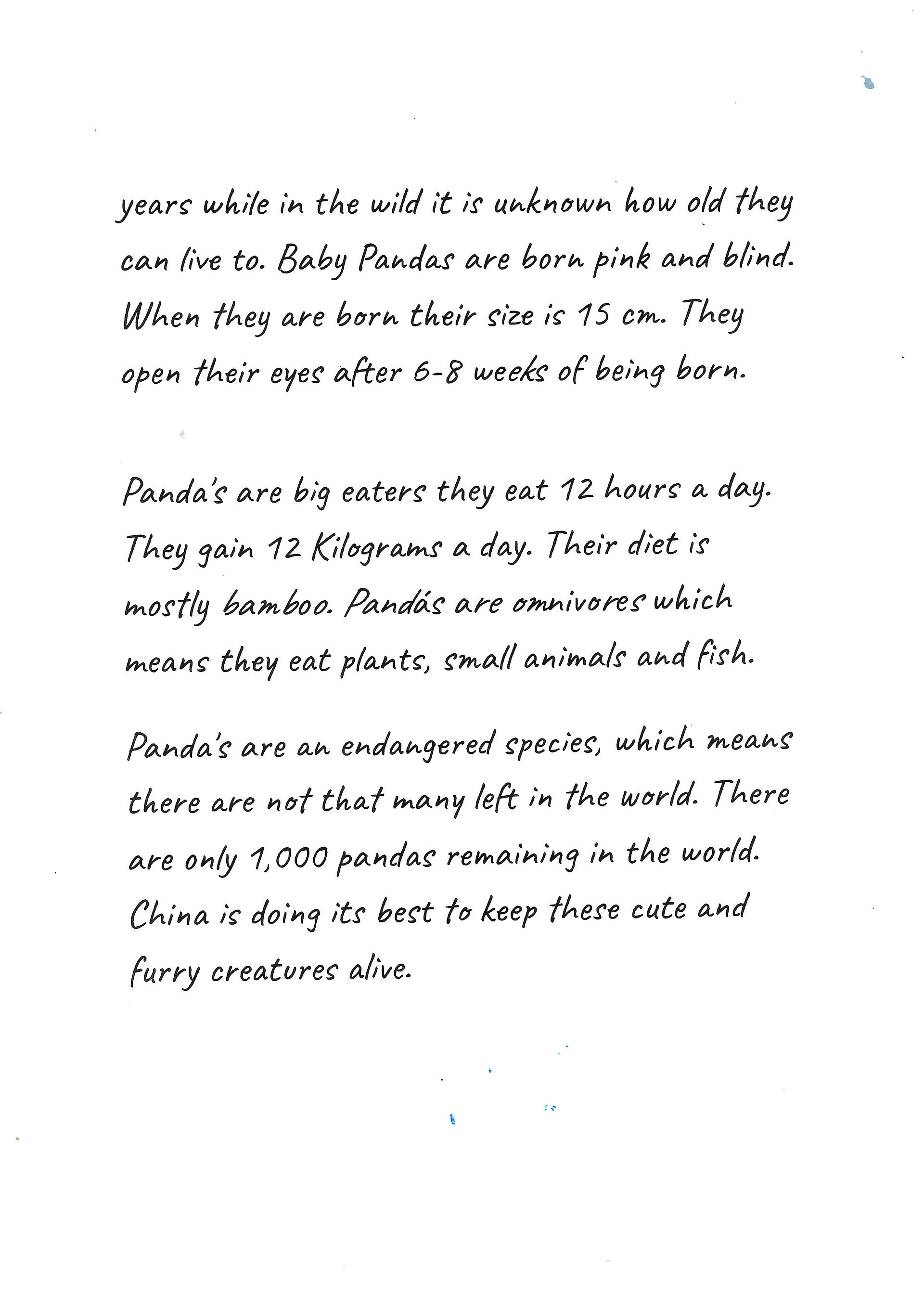 Singapore School Syllabus