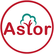 Astor International School logo