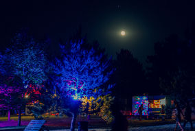 IMG_5494.jpg