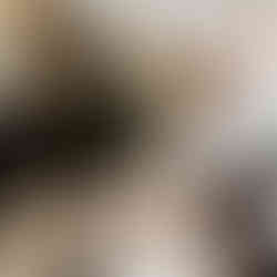 details getting ready compass rose prince edward county 