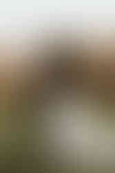 bride and dad on wedding day