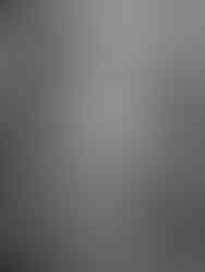 outdoor couple photos at compass rose in prince edward county