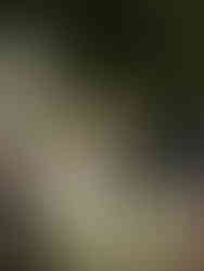 riverside ceremony st jacobs stella co collective