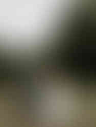 wedding portraits riverside st jacobs