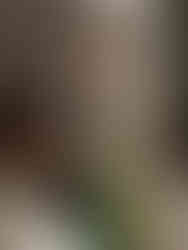 elora mill grand room wedding party and live music boutique entertainment