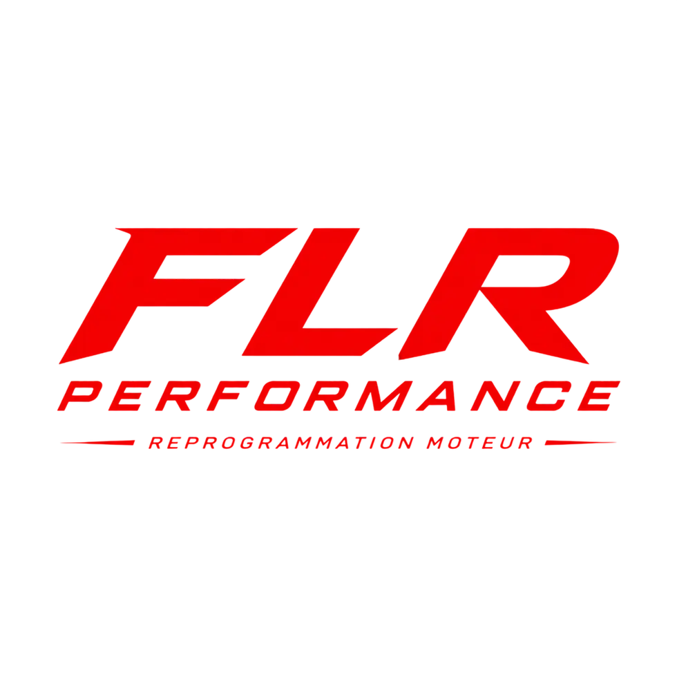 logo FLR Performance.png