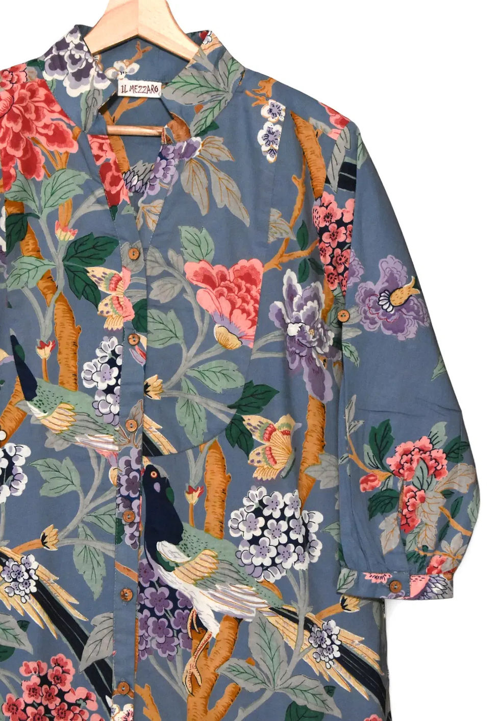 Miniaturbild: Paradiesvogel