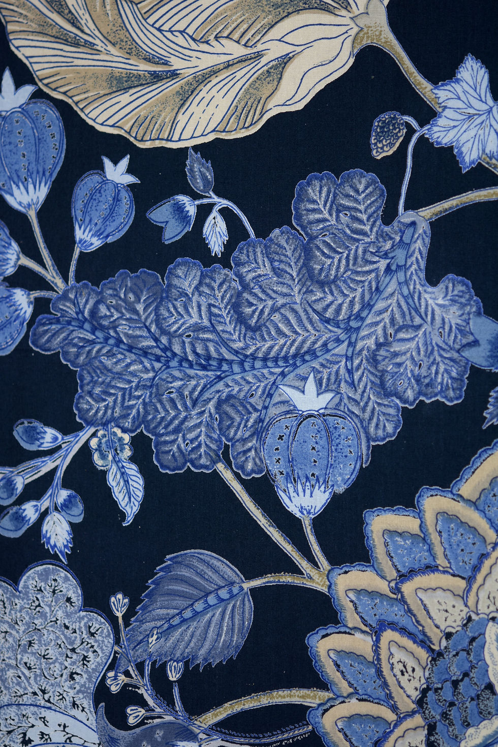 Miniaturbild: Mezzaro Baum des Schicksals