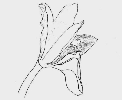 Flower Power (poem)