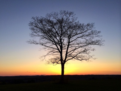 A Man Called Year (poem)