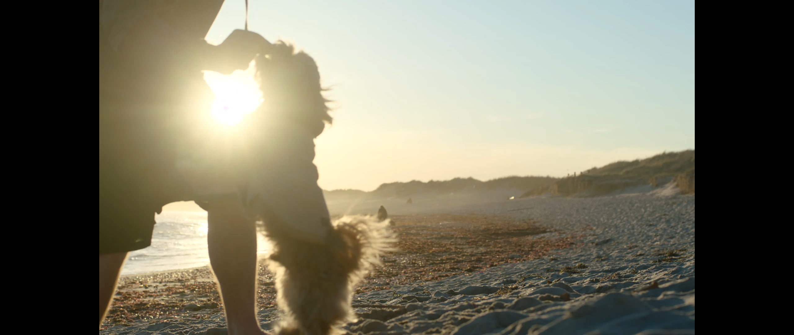 Dancing With a Dog!