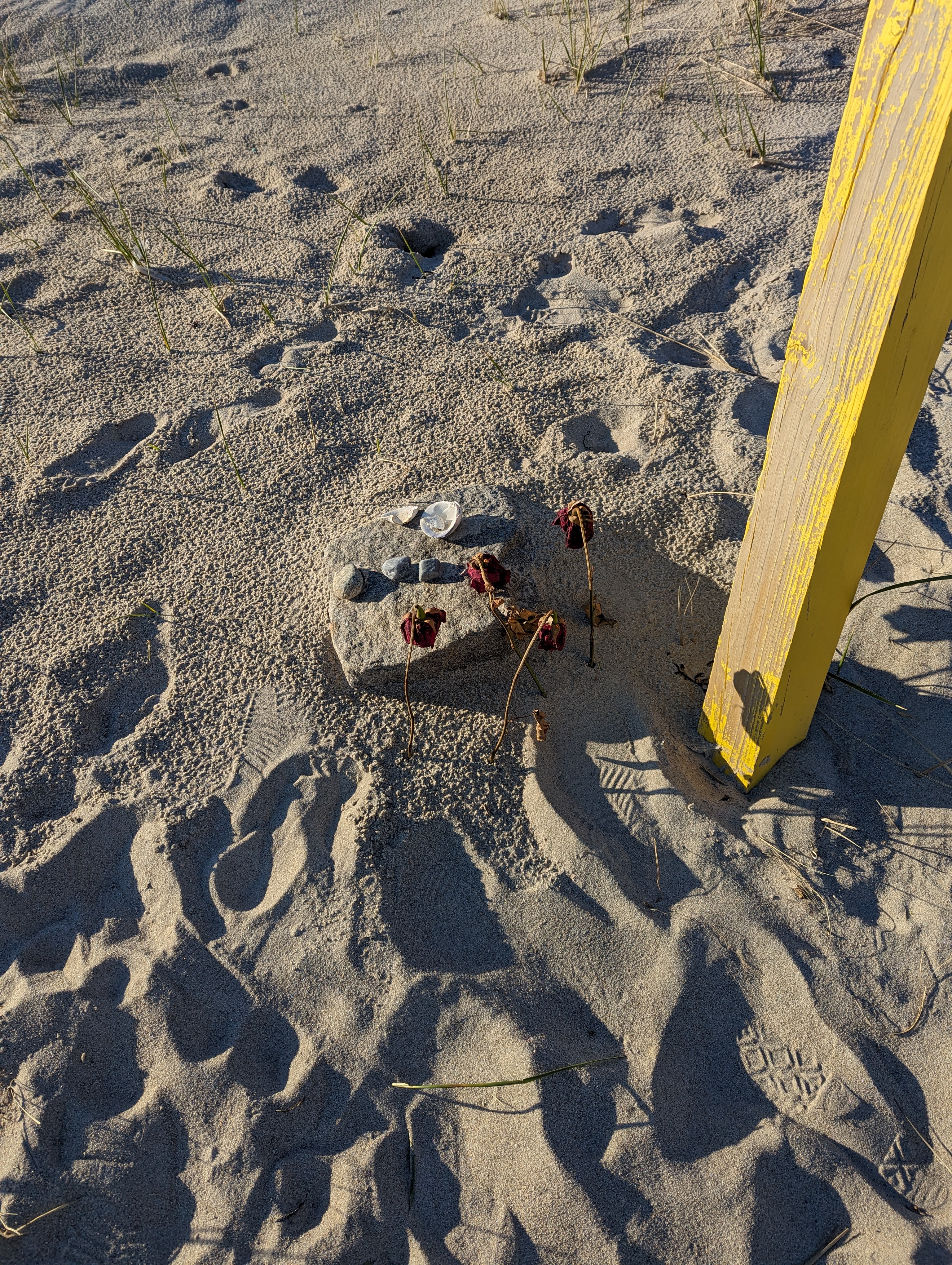 Sand Castles