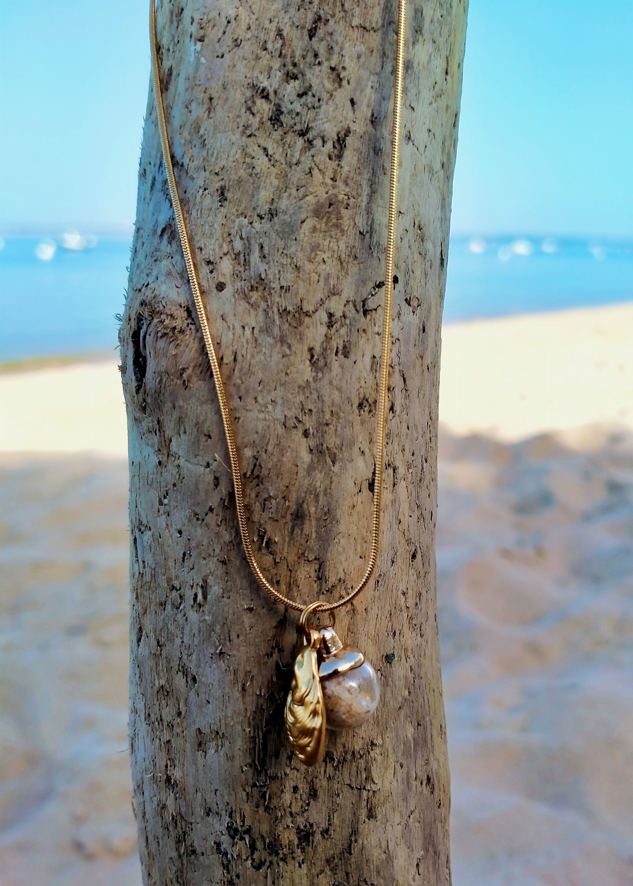 Collier Oyster
