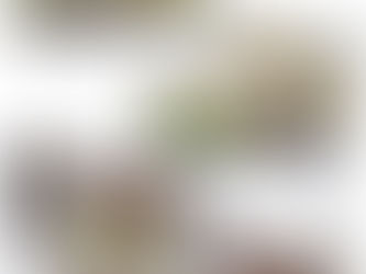 本日 定休日です…