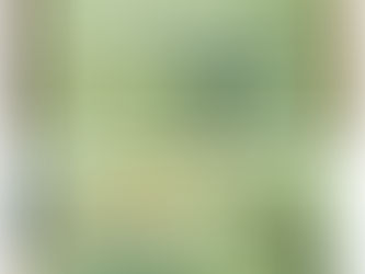 本日 定休日です…