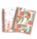 ERTD2022_Gum Leaves and Stars.png