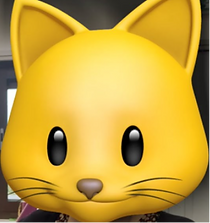 junior reading 3.png