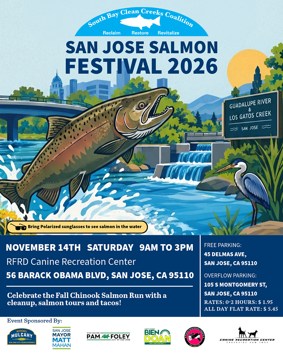 Salmon Festival 2026