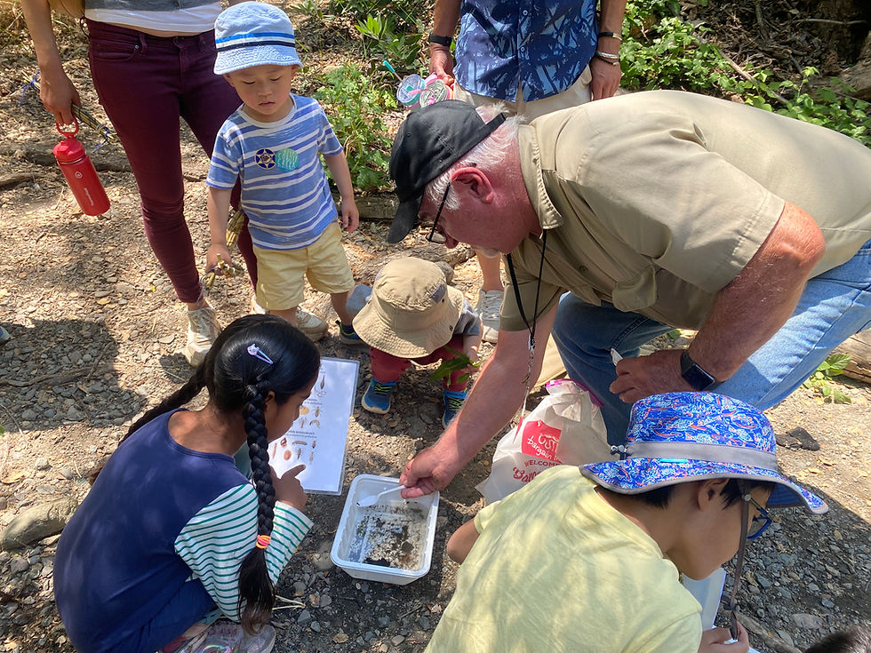 Summer BioBlitz at Coyote Creek Visitor Center