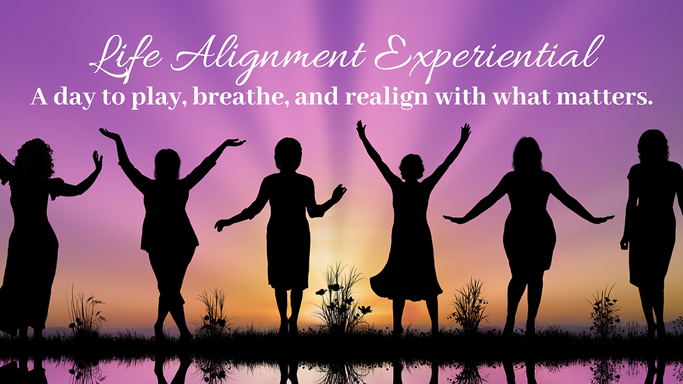 š¤š¼š” Life Alignment Experiential