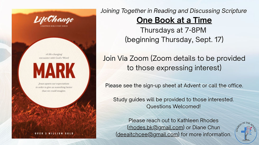 One Book at a Time Bible Study