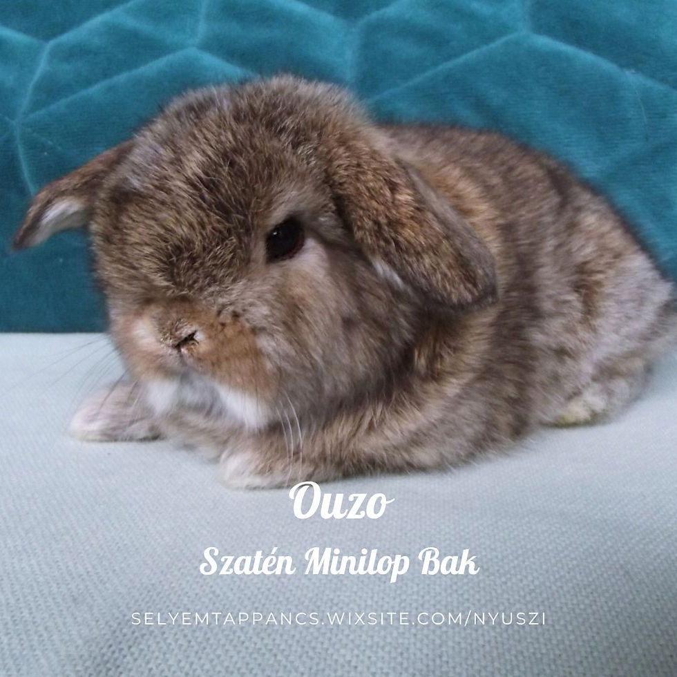 Ouzo