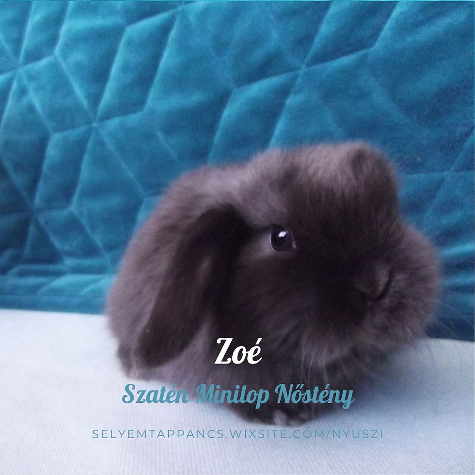 Zoé