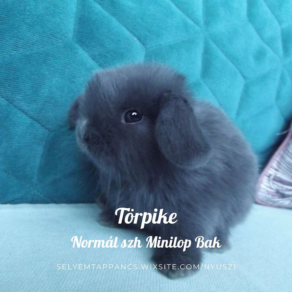 Törpike
