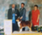 20190808_135121.jpeg