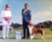 20190808_135141.jpeg