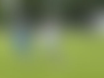 HAKOAH MIT SPÄTEM AUSGLEICH GEGEN HAJDUK