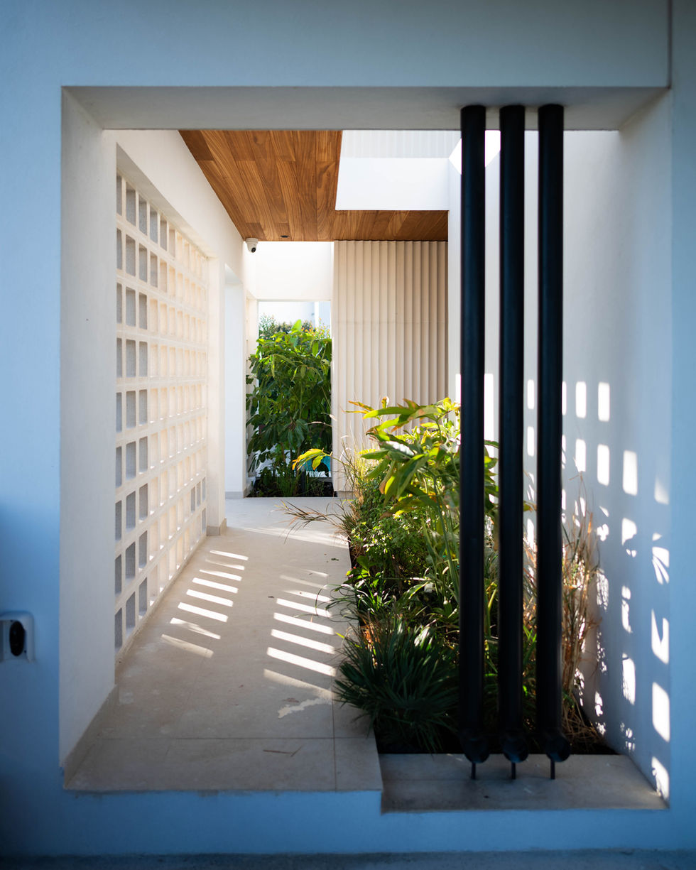 Modern architectural space with plants and natural light.