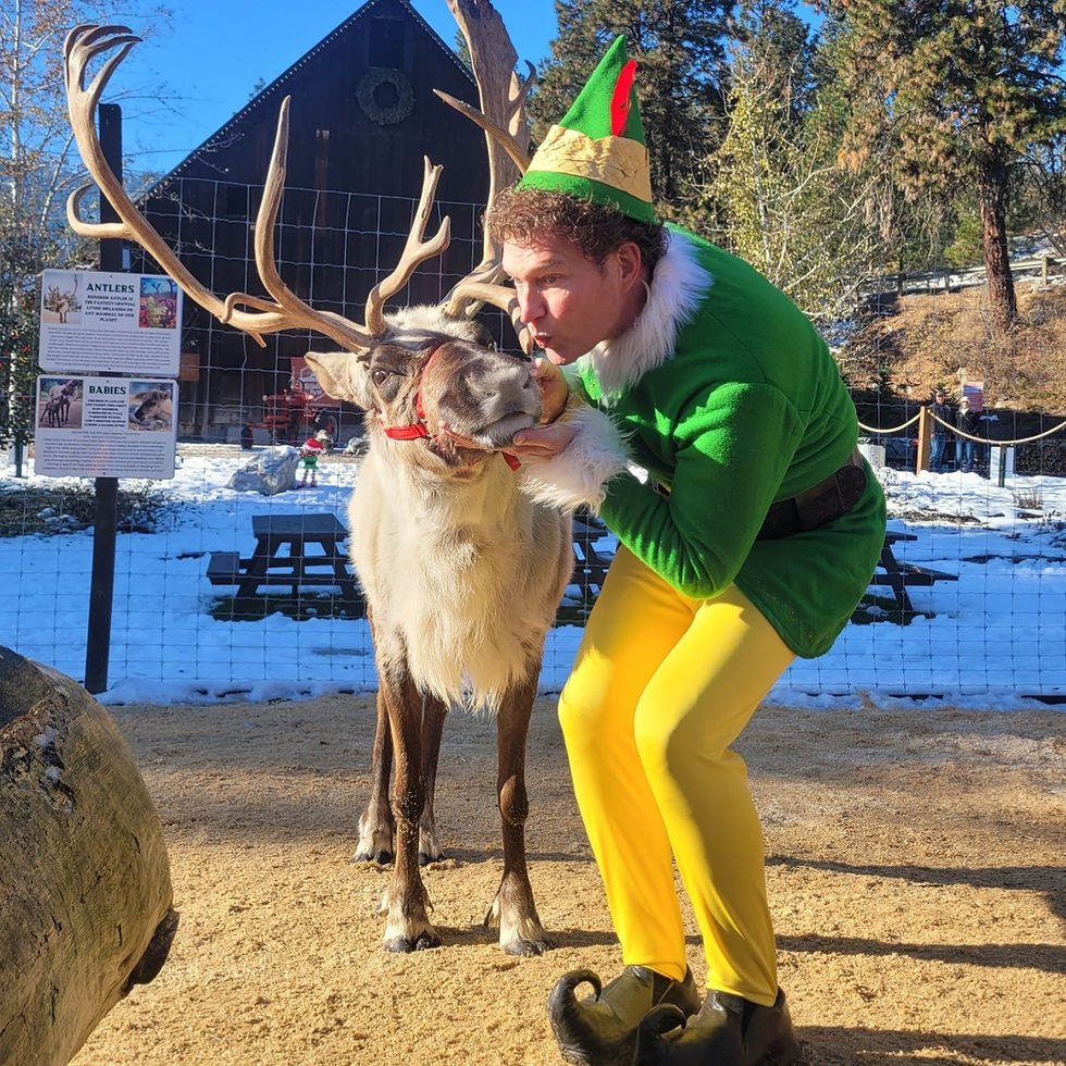 Buddy the Elf